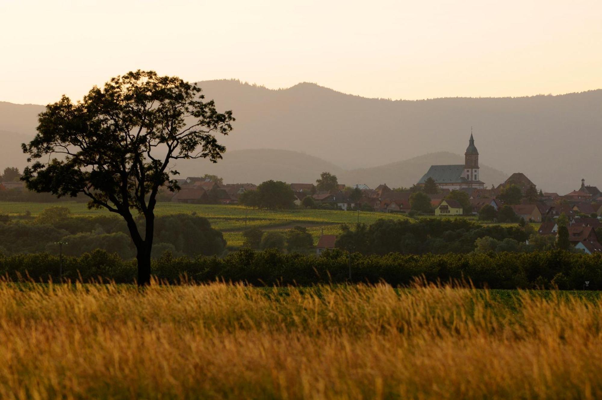 Gite Jeanne Familial - Calme - Parking Ebersheim Zewnętrze zdjęcie