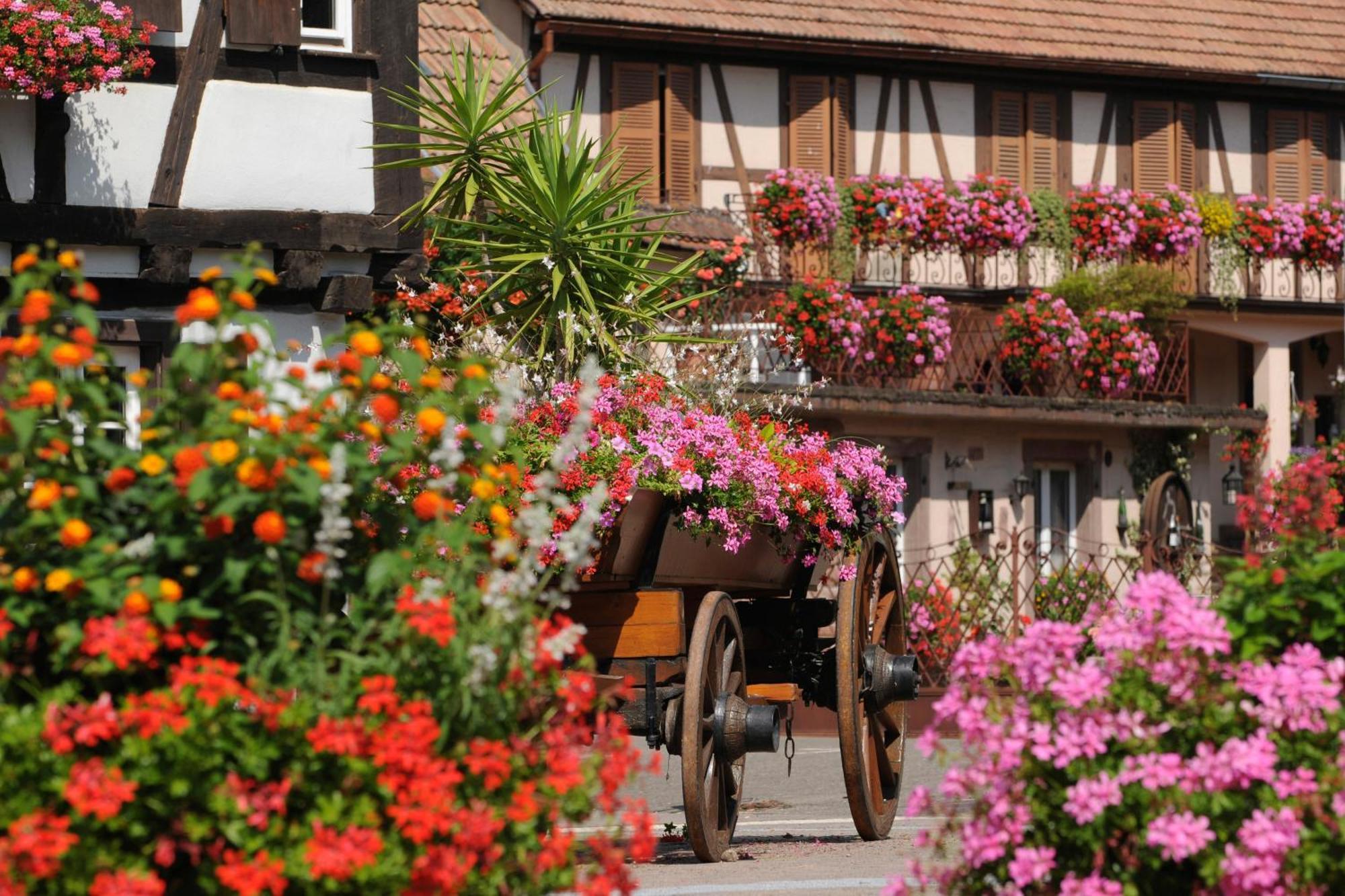 Gite Jeanne Familial - Calme - Parking Ebersheim Zewnętrze zdjęcie